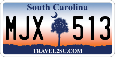 SC license plate MJX513