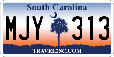 SC license plate MJY313