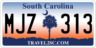 SC license plate MJZ313
