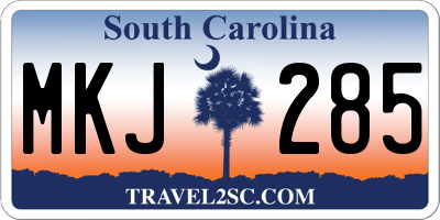 SC license plate MKJ285