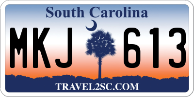 SC license plate MKJ613