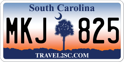 SC license plate MKJ825