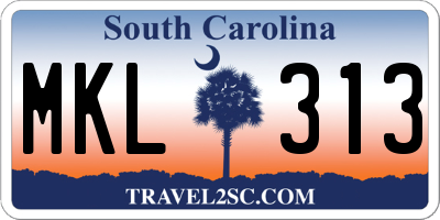 SC license plate MKL313