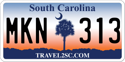 SC license plate MKN313
