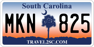 SC license plate MKN825