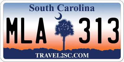 SC license plate MLA313