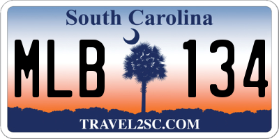 SC license plate MLB134