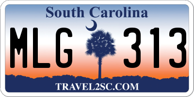 SC license plate MLG313