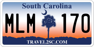 SC license plate MLM170
