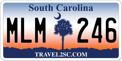 SC license plate MLM246