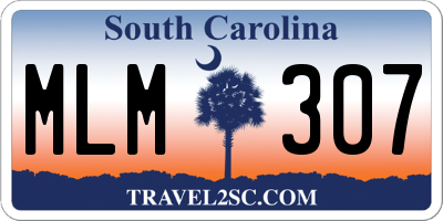 SC license plate MLM307