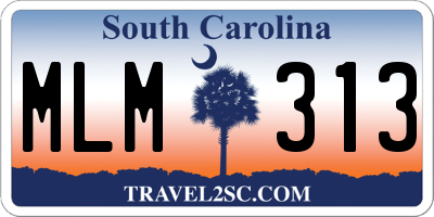 SC license plate MLM313