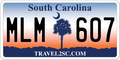 SC license plate MLM607