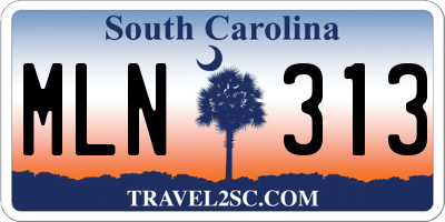 SC license plate MLN313
