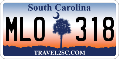 SC license plate MLO318