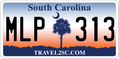 SC license plate MLP313