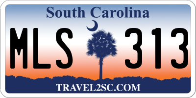 SC license plate MLS313