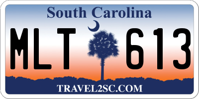SC license plate MLT613