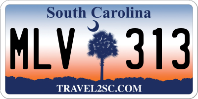 SC license plate MLV313