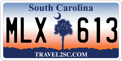 SC license plate MLX613