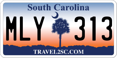 SC license plate MLY313