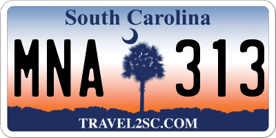 SC license plate MNA313
