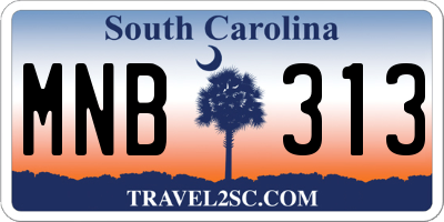 SC license plate MNB313