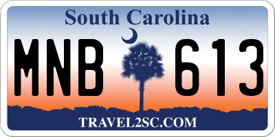 SC license plate MNB613