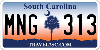SC license plate MNG313
