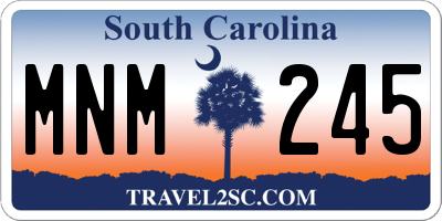SC license plate MNM245