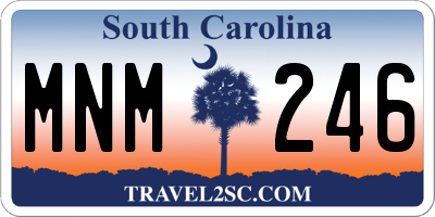 SC license plate MNM246