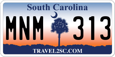 SC license plate MNM313