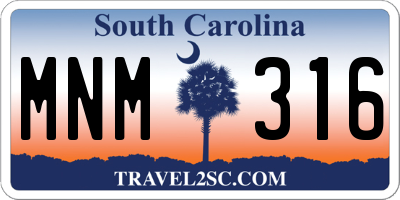 SC license plate MNM316