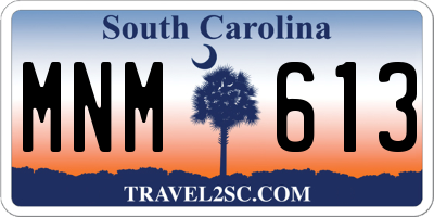 SC license plate MNM613
