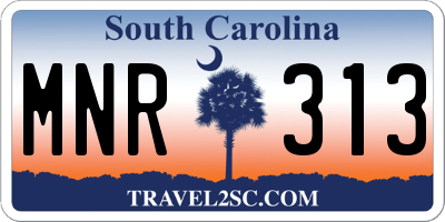 SC license plate MNR313