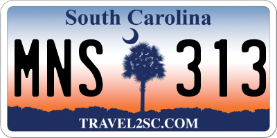 SC license plate MNS313