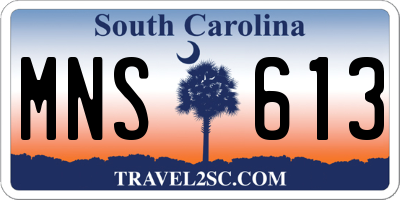 SC license plate MNS613