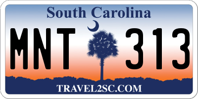 SC license plate MNT313