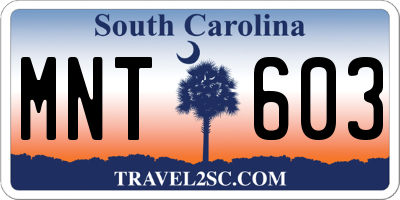 SC license plate MNT603