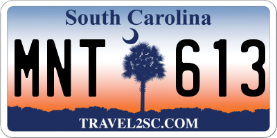 SC license plate MNT613
