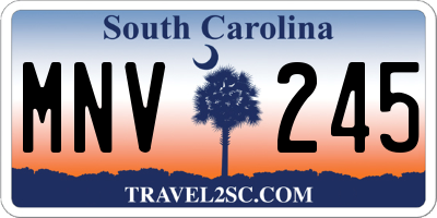 SC license plate MNV245