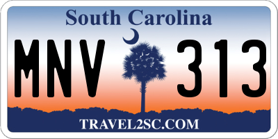 SC license plate MNV313
