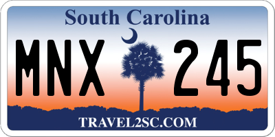 SC license plate MNX245