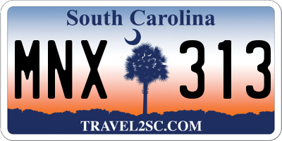 SC license plate MNX313