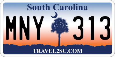 SC license plate MNY313