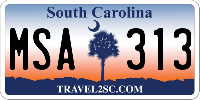 SC license plate MSA313