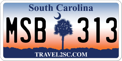 SC license plate MSB313