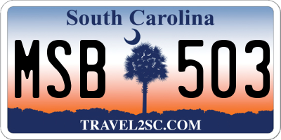 SC license plate MSB503