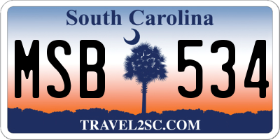 SC license plate MSB534