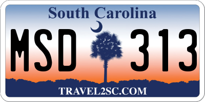 SC license plate MSD313